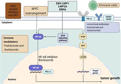 Plasmablastic lymphoma: current knowledge and future directions